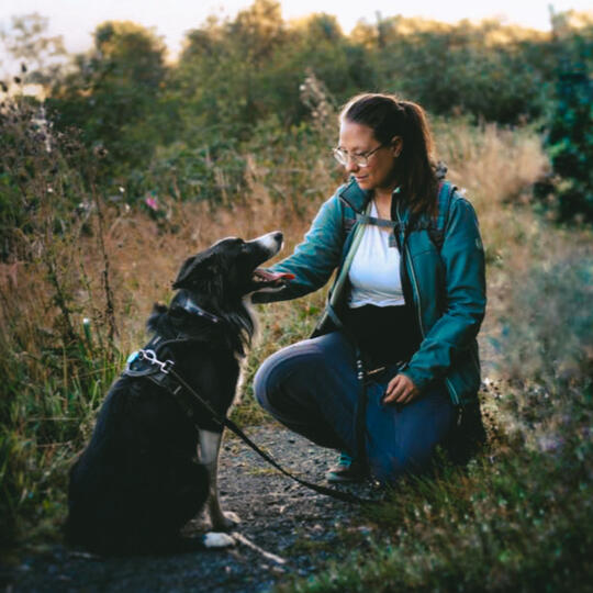 About Work with the dog Personal protection dogs, Nederland, hulphond, hondentraining, Overijssel, Zwolle, assistance dogs, service dogs, The Netherlands